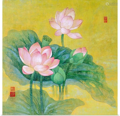 Dream Lotus Wall Art Print