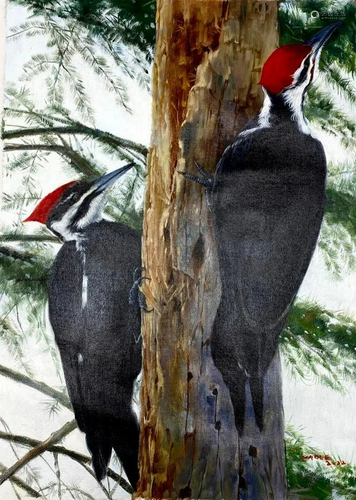 Original Acrylic 20" x 28" Pileated Woodpecker Pai...