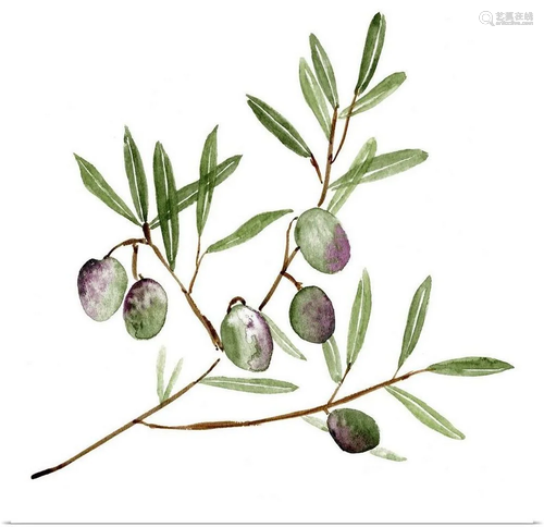 "Olive Branch II" by Melissa Wang Wall Art Print