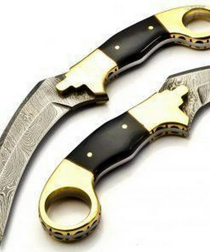 The Raptor Karambit Damascus Steel Talon Blade With