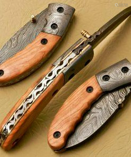 Formed Talon Damascus Steel Folding Pocket Knife With