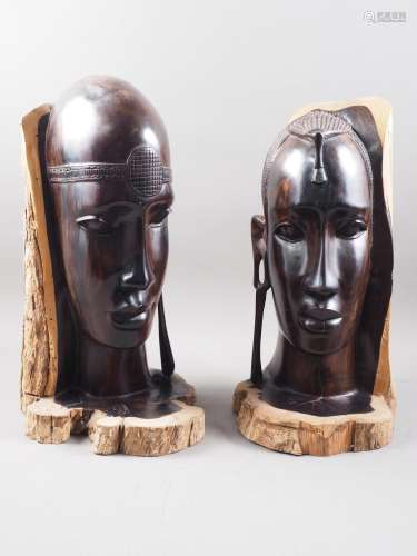 A pair of Central African (Kenyan) ebony male and female hea...