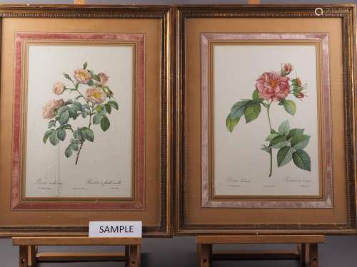 A set of four Redoute rose prints, in velvet lined mount and...