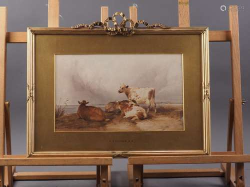 A 19th century watercolour sketch of three cattle on a hillt...