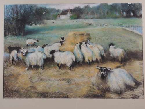 Christine Hall: pastels, sheep in a landscape, 14 x 21, in d...