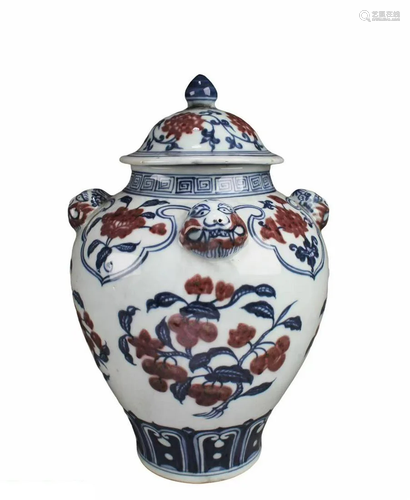 Chinese Iron Red Blue & White Porcelain Jar