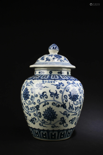 Chinese Blue & White Porcelain Jar