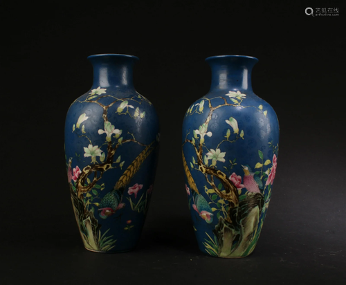 A Pair of Blue Color Porcelain Vases