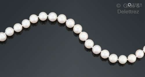 Collier composé d’un rang de perles de culture Akoia. Le fer...