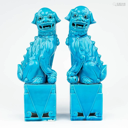 A pair of Chinese Foo dogs, made of blue glazed porcelain. (...