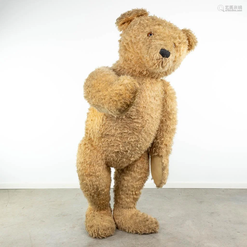 An exceptionally large teddy bear, probably made by Steiff. ...