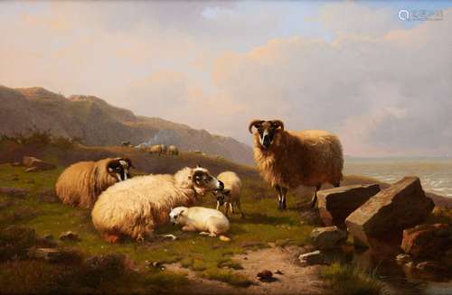 Huile sur panneau: Famille de moutons sur la falaise.Signée ...