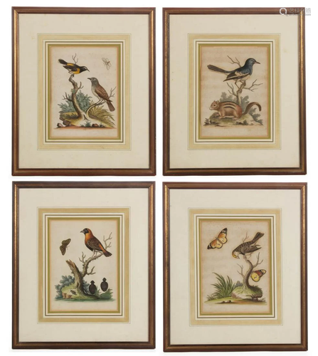 GEORGE EDWARDS (BRITISH, 1694-1773) ORNITHOLOGICAL PRINTS, L...