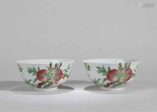 A Pair of Chinese Famille-Rose Porcelain Bowls