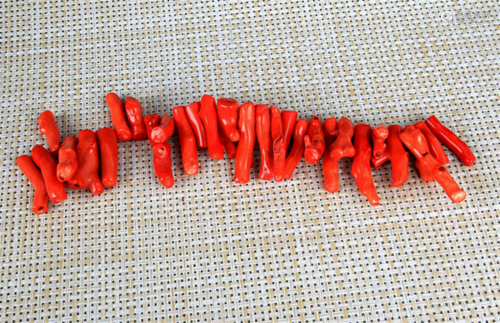 GROUP OF FINE RED CORAL STICKS