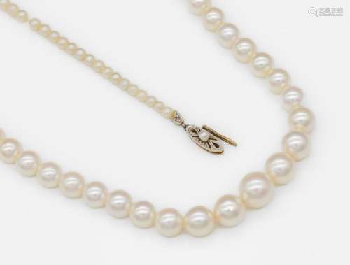Necklace made of akoya cultured pearls