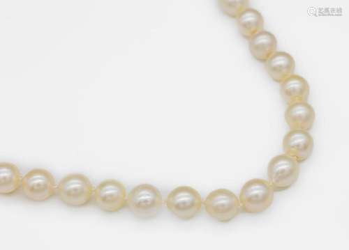 Extra-long necklace with cultured akoya pearls