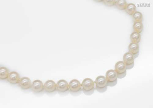 Endless necklace made of akoya-cultured pearls, l