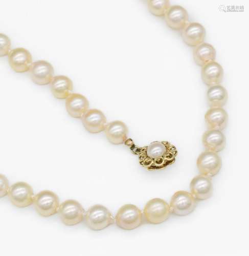 Chain of cultured pearls