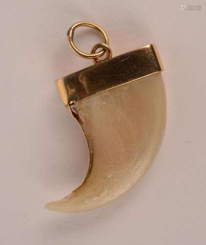 Pendentif " dent " en or jaune