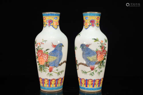 Pair of Drawing Bird Porcelain Vase