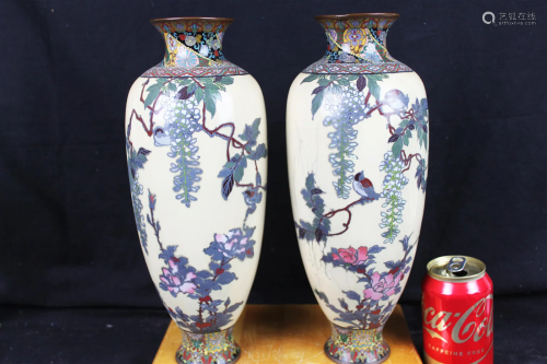 A Pair Chinese Cloisonne Vase