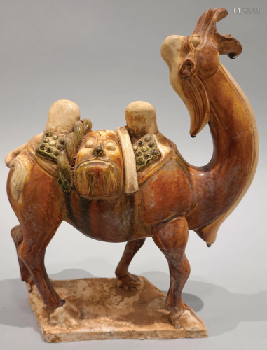 A Tang SanCai camel. Tang Dynasty.
