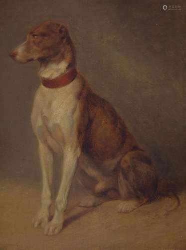 Unidentified painter of the 19th c., sitting dog, fine