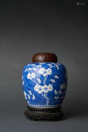 A BLUE AND WHITE OVOID GINGER JAR, QING DYNASTY, KANGXI PERI...