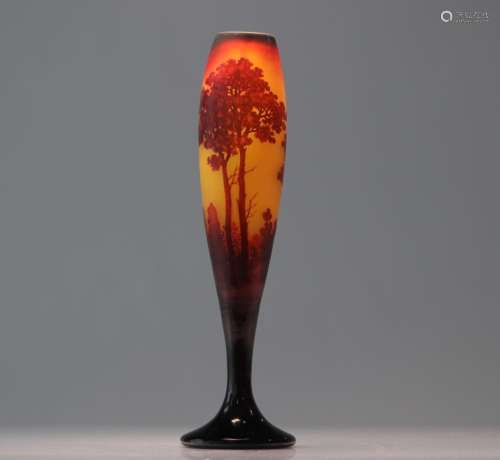 D'Argental, France vase with landscape decoration