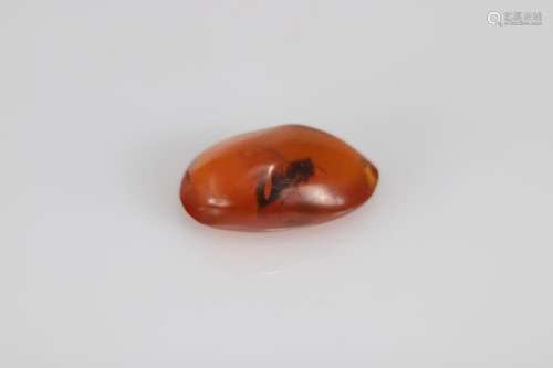 Polished amber with an insect inclusion