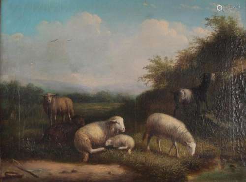 Eugene VERBOECKHOVEN (1798/99-1881) Oil on canvas "shee...