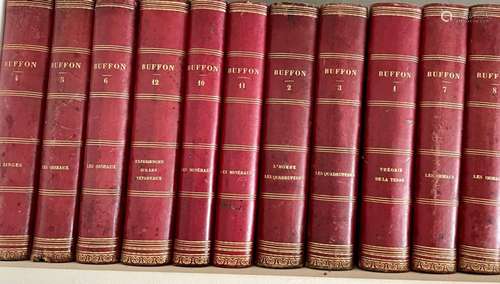 BUFFON. Oeuvres complètesFurne & Cie 18397 volumes in-4,...