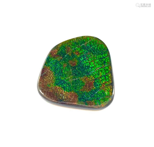 Free Form Ammolite Panel