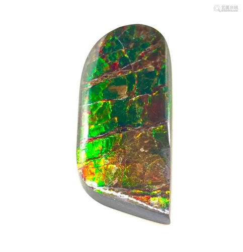 Freeform Ammolite Panel