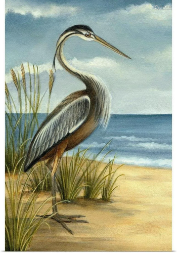 Shore Bird I Wall Art By Ethan Harper Print