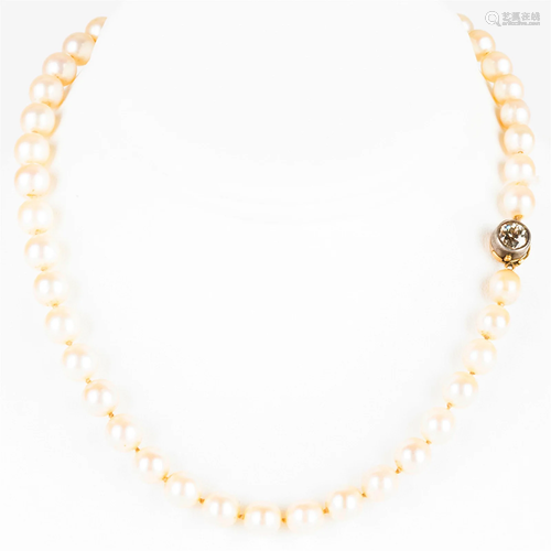 Cultured Pearl Necklace