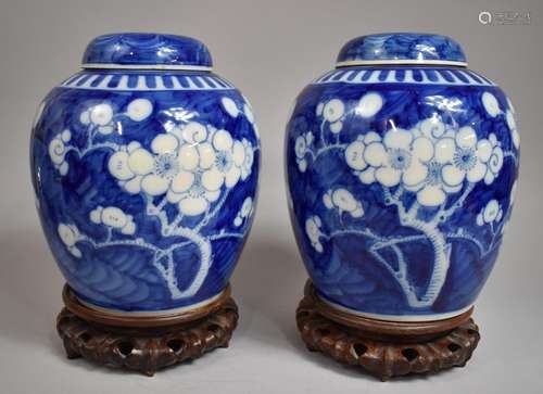 A Good Pair of Large Chinese Prunus Pattern Ginger Jars with...