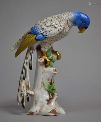 A Continental Porcelain Study of Blue Feathered Parrot on Br...