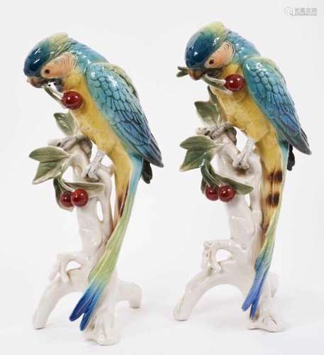 Pair of Karl Ens porcelain models of parrots picking cherrie...