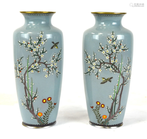 Pr Japanese Light Blue Cloisonne Vases