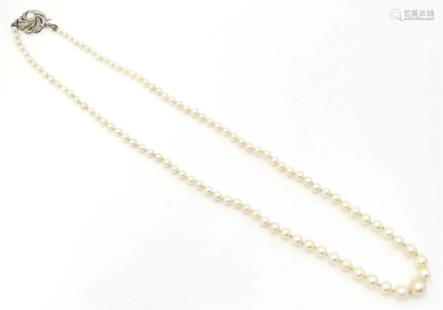 A pearl necklace with 14ct gold clasp. Approx 20" long