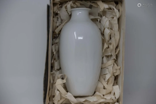 Chinese White Monochrome Porcelain Vase