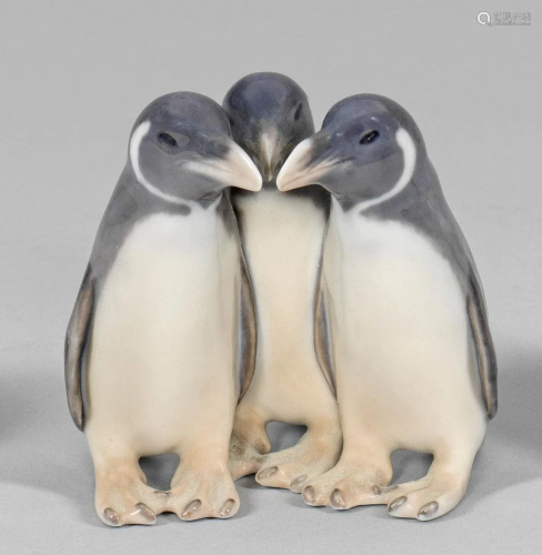 Pinguingruppe