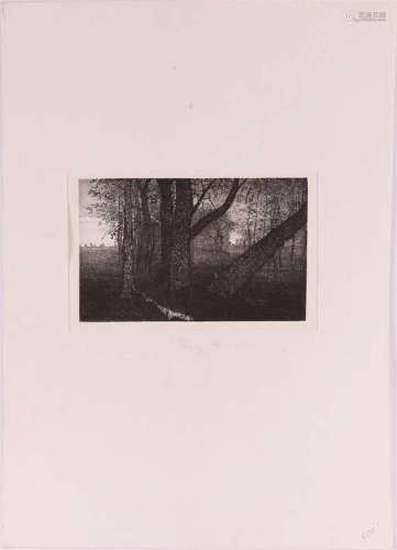 Homan, Reinder E. (Smilde 1950-) 'Forest',