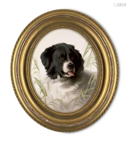 Bildnis eines Border Collies im Schilf. Ovale KPM …