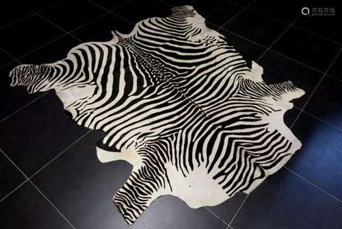 Goed bewaard zebravel - ca 218 x 225 cm well preserved zebra...