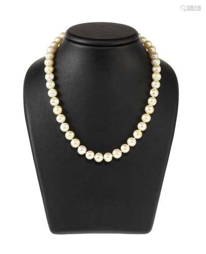 Collier choker de perles (D env. 9 mm) Fermoir en or 750, L ...