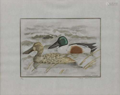 Robert Hainard (1906-1999) Canards, réserve du Seeland, 9 av...