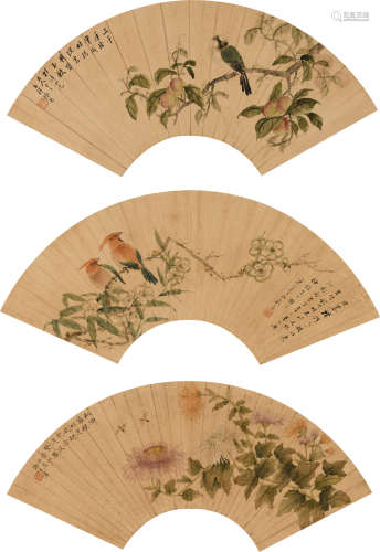 张熊(1803-1886) 谢月眉(1906-1998) 江寒汀 (1903-1963) 花卉